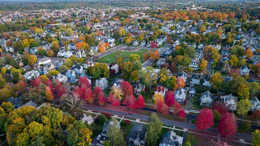Holyoke MA - Fairfield Ave Red Row of Trees