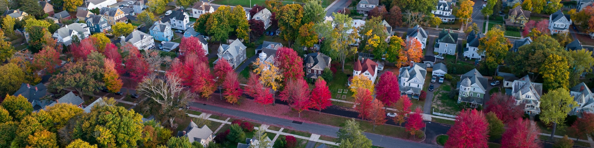 Holyoke MA - Fairfield Ave Red Row of Trees