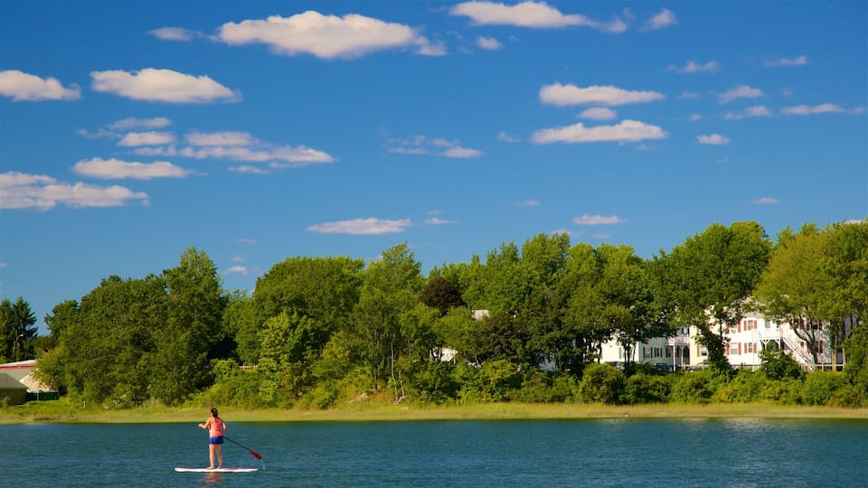 A person paddleboarding on a calm lake with a backdrop of lush green trees and a white house.