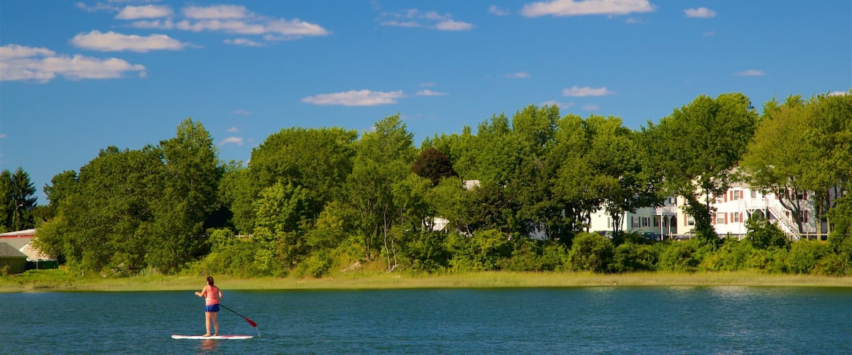 A person paddleboarding on a calm lake with a backdrop of lush green trees and a white house.
