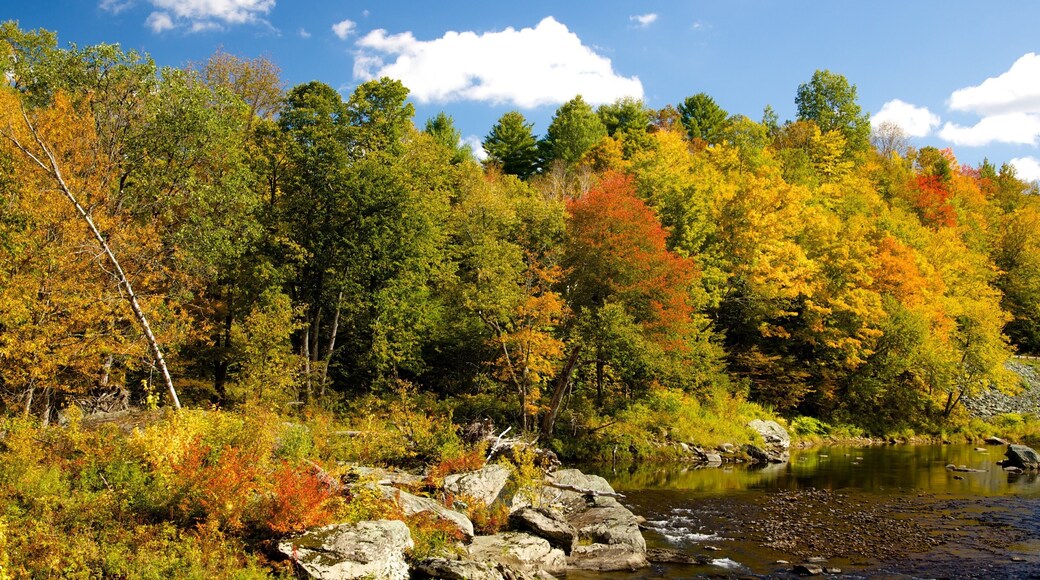 Northern Vermont showing tranquil scenes, autumn leaves and a river or creek