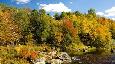 Northern Vermont showing tranquil scenes, autumn leaves and a river or creek