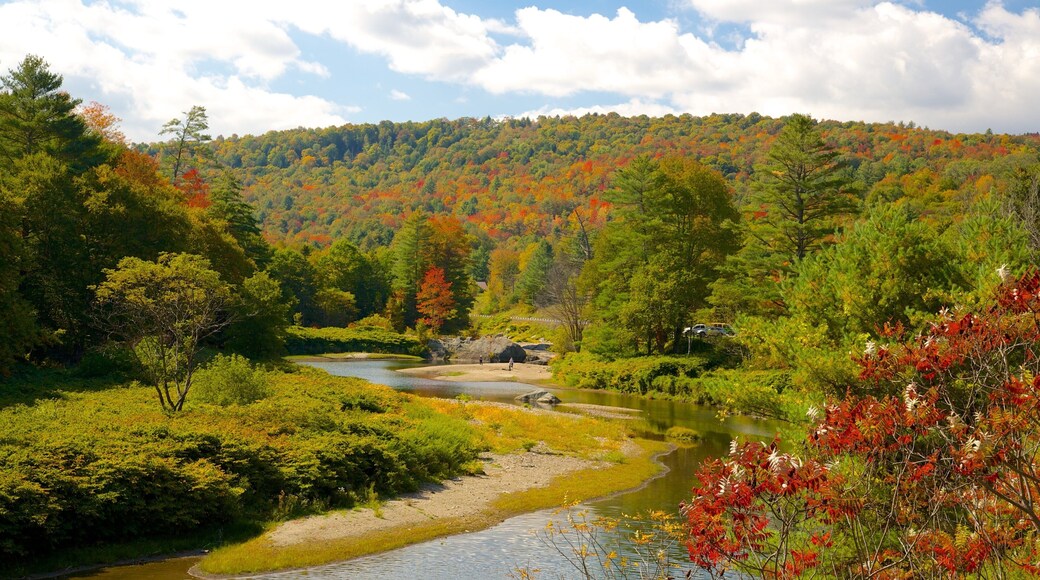 Northern Vermont which includes tranquil scenes, autumn colours and forests