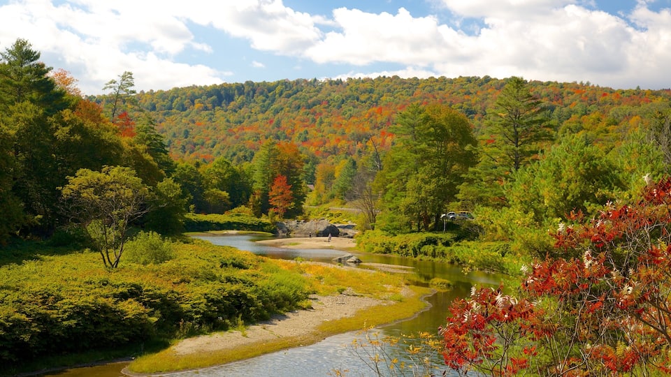 A river flowing through a forested valley with autumn foliage.