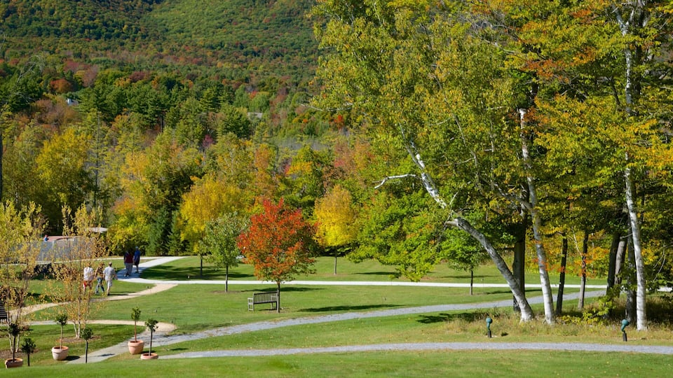 A park with a winding path, trees with autumn foliage, and a small building in the background.