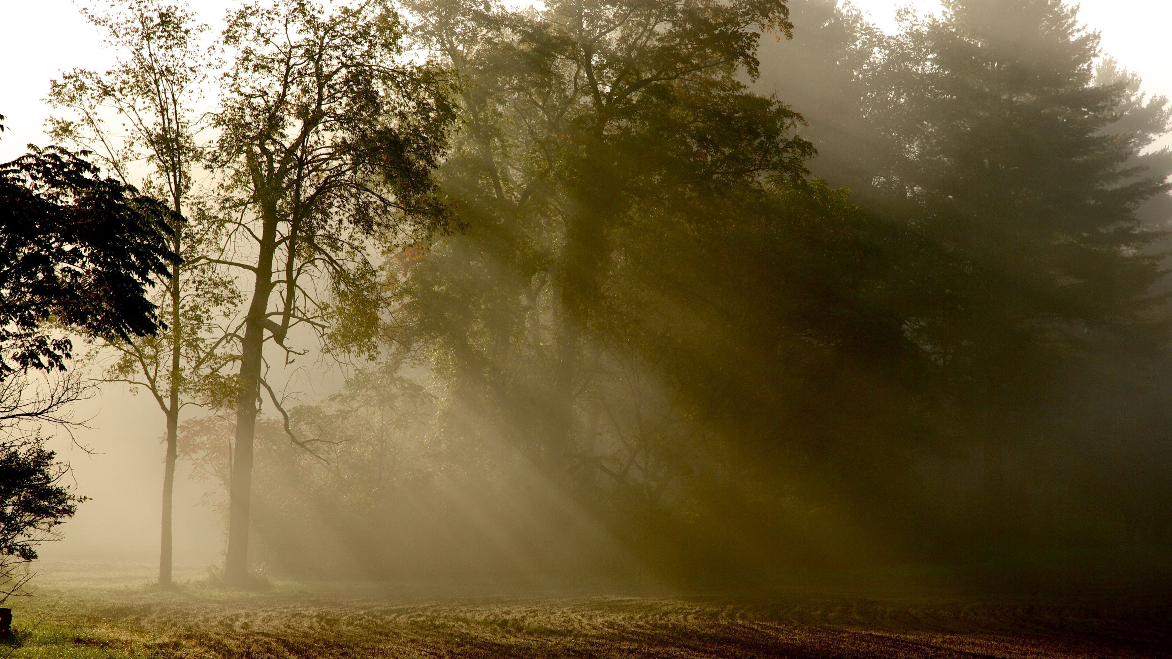 Southern Vermont which includes a park