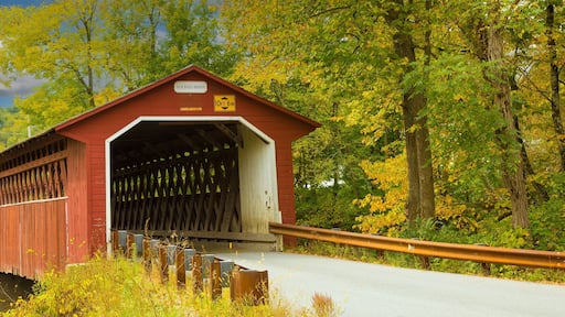 Silk Road covered bridge with trees showing fall colors near Paper Mill Village, Vermont.