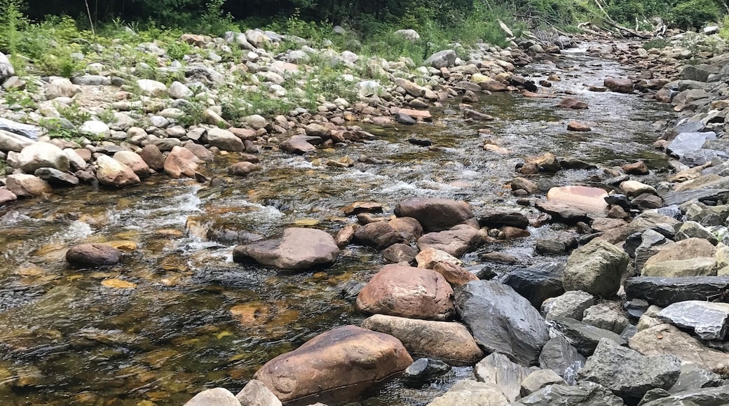 Beutiful nature scenes!