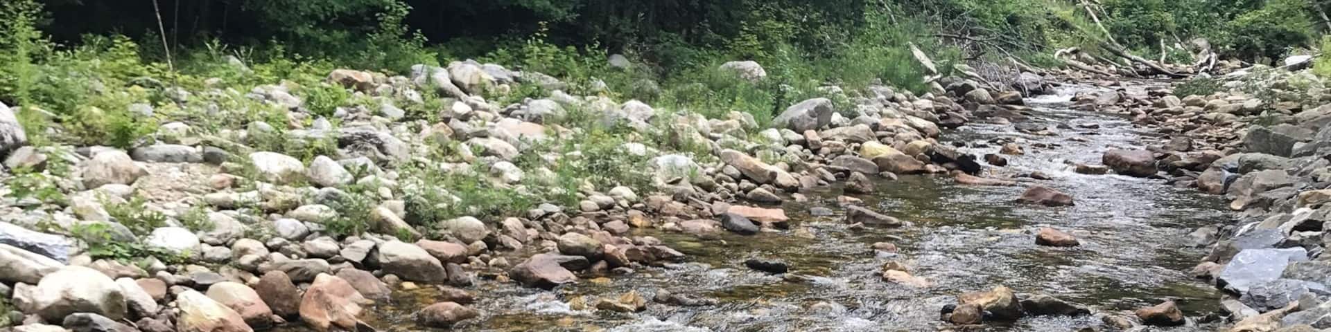 Beutiful nature scenes!