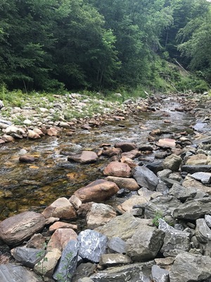 Beutiful nature scenes!