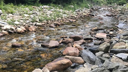 Beutiful nature scenes!