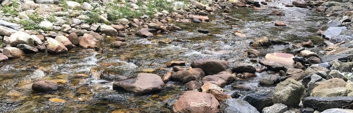 Beutiful nature scenes!