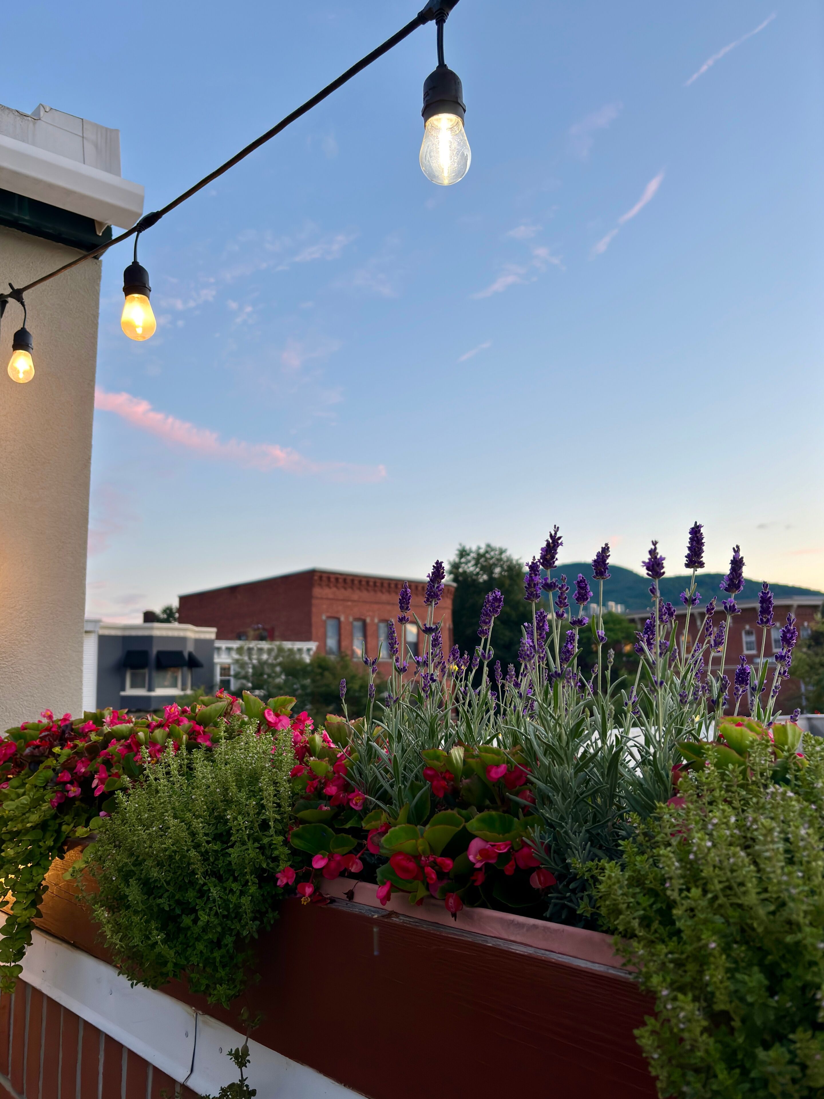 String lights and flower boxes with a sunset view in Bennington, VT