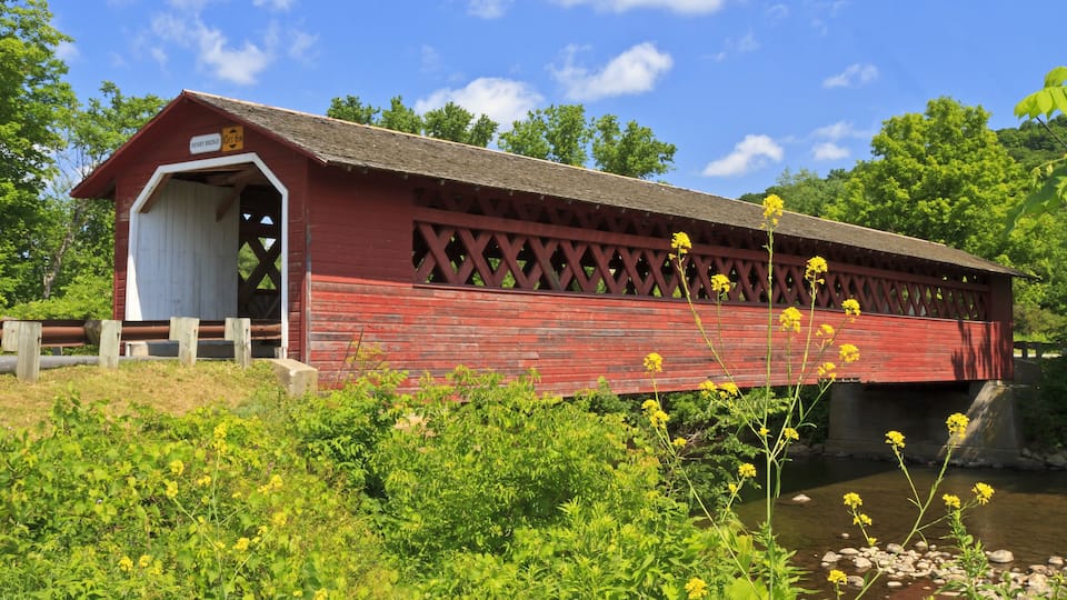 A red covered bridge over a river with greenery and yellow flowers around.