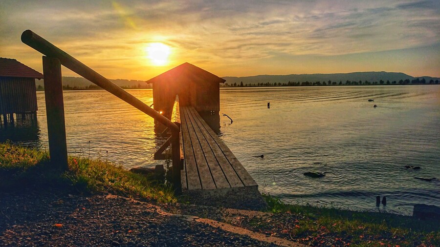 Sunset, don't be shy