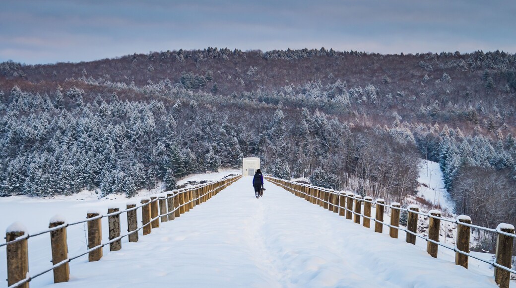 Vermont - St. Johnsbury