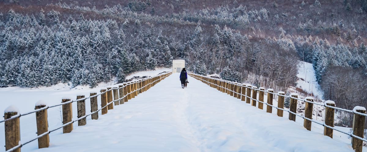 A snow-covered wooden bridge with a person walking on it, surrounded by snow-laden trees and hills.