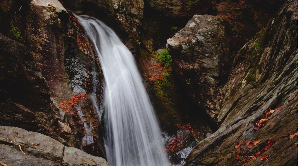 Bingham Falls is my absolute favorite waterfall in Vermont. It's only a short hike from the parking lot and in my opinion, probably one of the most photogenic falls in New England.