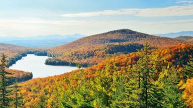 Lake Autumn Foliage
