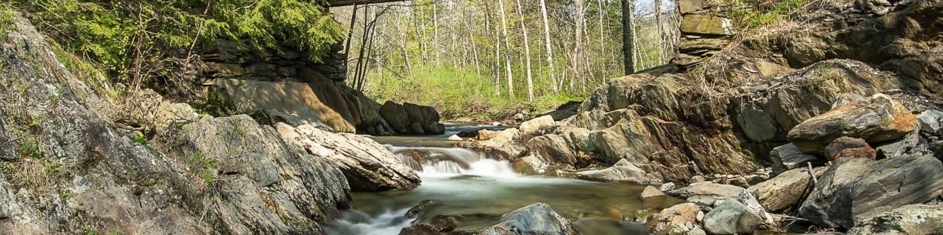 Straight out of Sleepy Hollow! Gold Brook Covered bridge. The best angle is from the other side of the river bank from where you park. You can get all the river in the image.