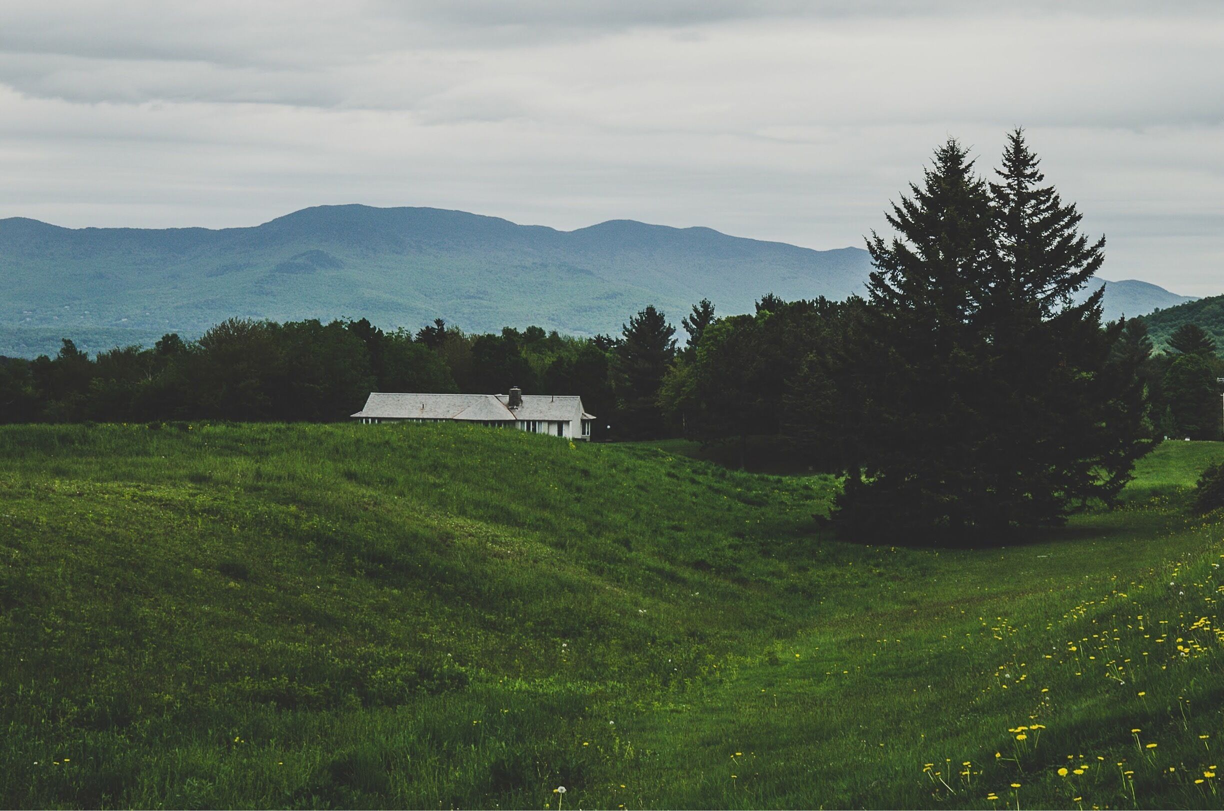 Had to stop on side of road to take in the landscape of #stowe Vermont