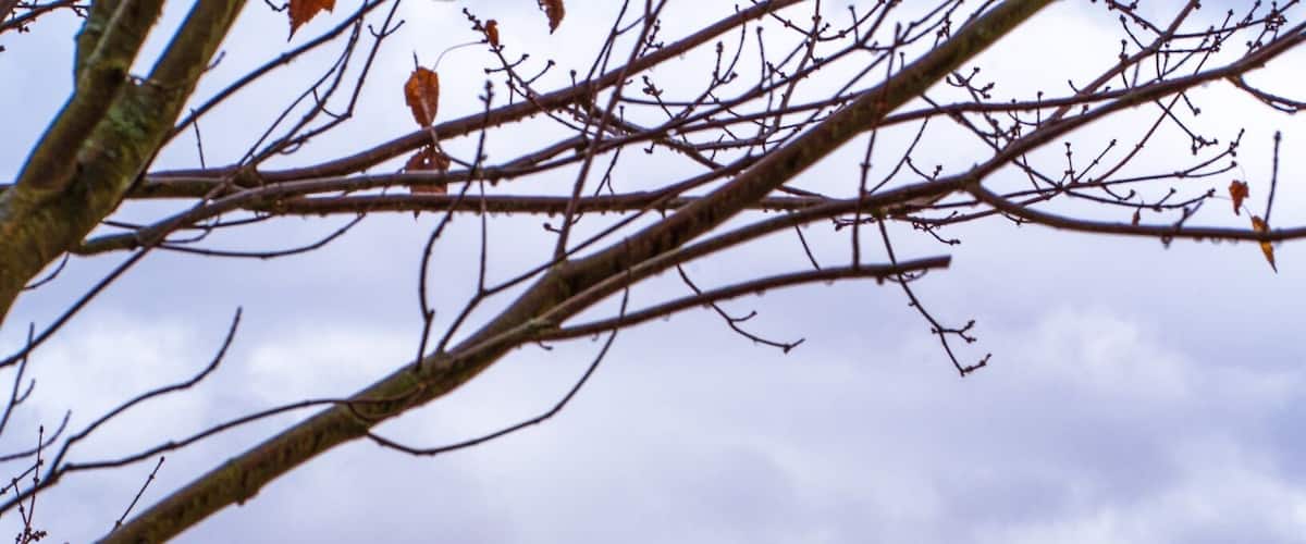 The best time to see colors change is in the month of October.