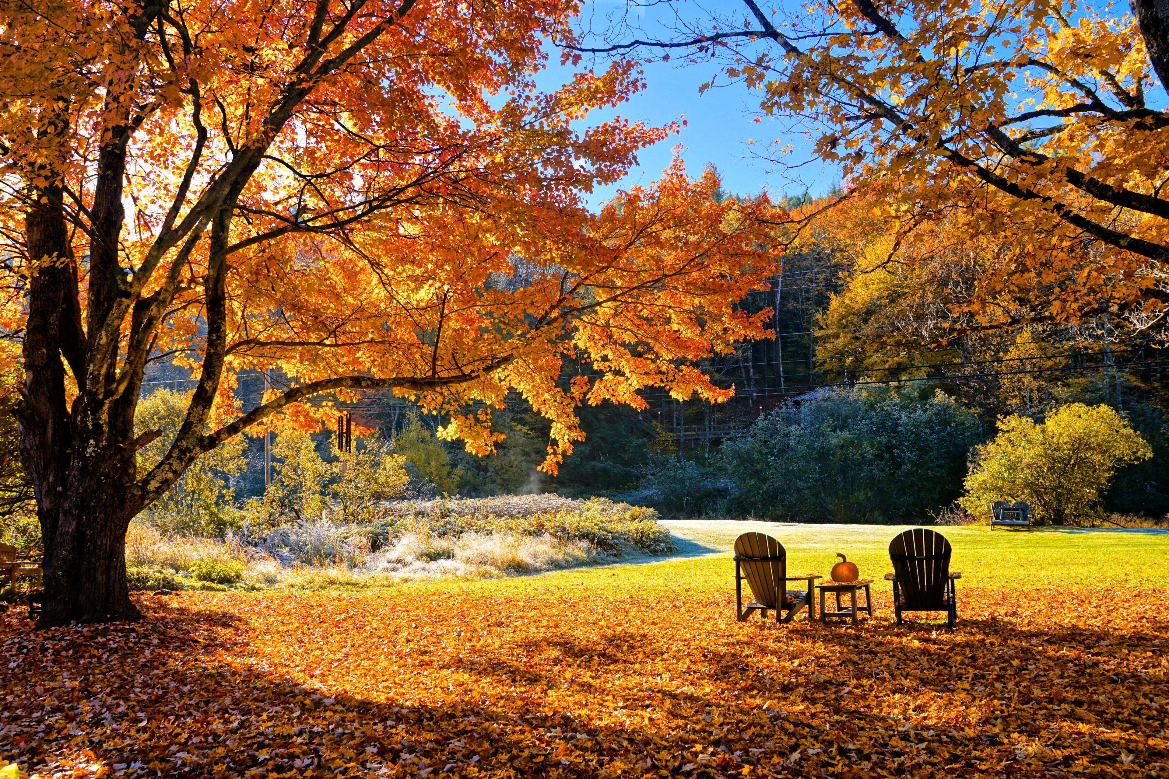 A park with autumn foliage, two Adirondack chairs, a small table, and a pumpkin.