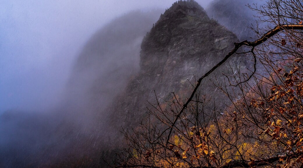 It took me 40 minutes to get there. But the views were amazing.