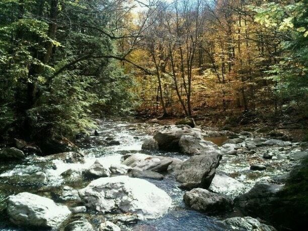 A hike to the waterfall at #Stowe mountain. #EndlessSummer 