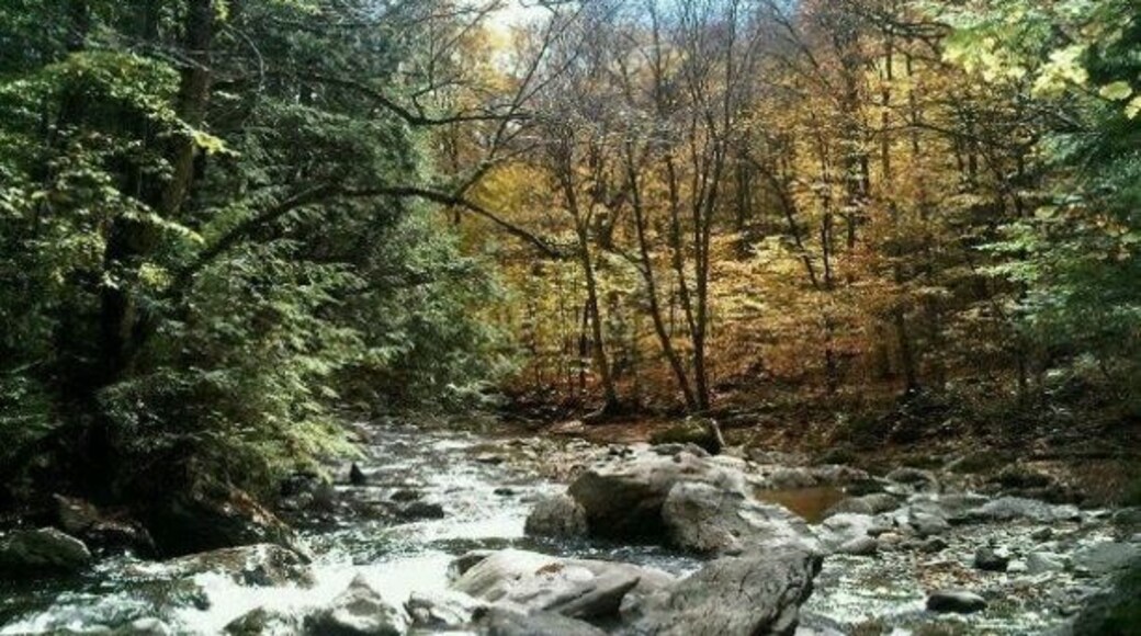 A hike to the waterfall at #Stowe mountain. #EndlessSummer