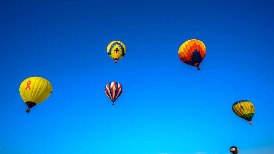 Five hot air balloons in a clear blue sky.
