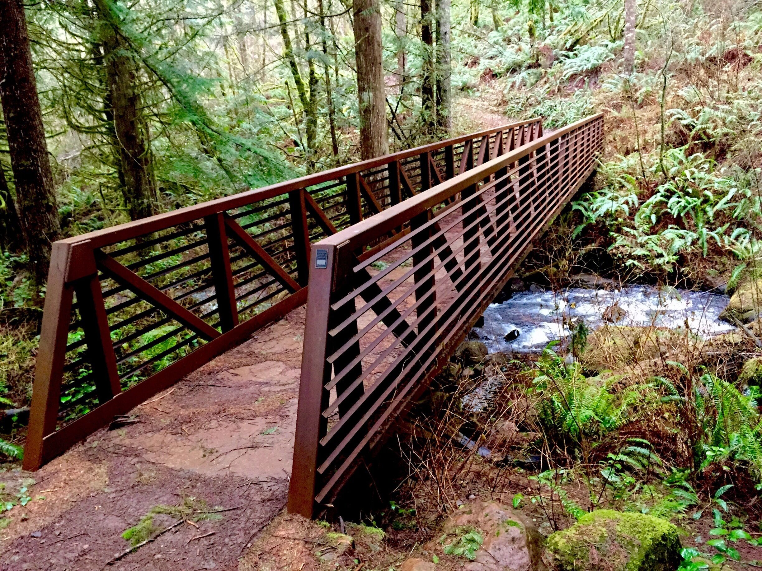 This sturdy steel bridge crosses Cedar Creek on the downslope of the first five-mile leg of the Bells Mountain Trail.  It was made by the Continental Bridge Company of Alexandria, VA, and can withstand 6,000 pounds of weight (according to a plaque on the handrail). So unless you plan to park the Clydesdales on it , you should be good.  Of course, should it happen to collapse under you and send you hurtling downstream, you may take comfort in this fact: the plaque provides a convenient 800 number for you to call and get assistance.