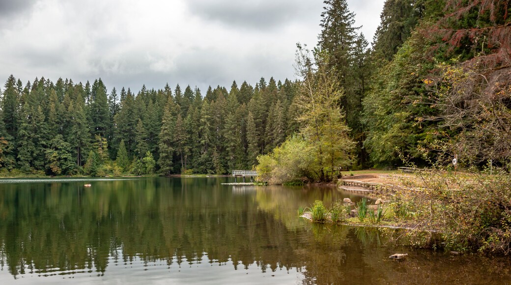 Battle Ground Lake in The Battle Ground Lake State Park, Washington