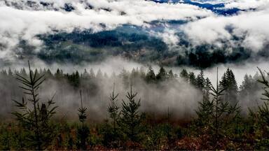 The Bells Mountain Trail in Clark County is obviously in no way connected to the more famous Bells Mountain Wilderness in Missouri. The trail which bears its name does not ascend or in any way touch the actual mountain. But it bears some of the most beautiful views of the mountain from directly across the valley. This was taken today (2015-01-11), on an extremely cloudy, foggy and generally soggy day. But look at what you get to see, even in the middle of our waterlogged winters. One drawback is that you have to pass through a lot of clear-cut forest on the trail side of the valley. I say that, realizing now that almost none of these vistas would be possible otherwize.