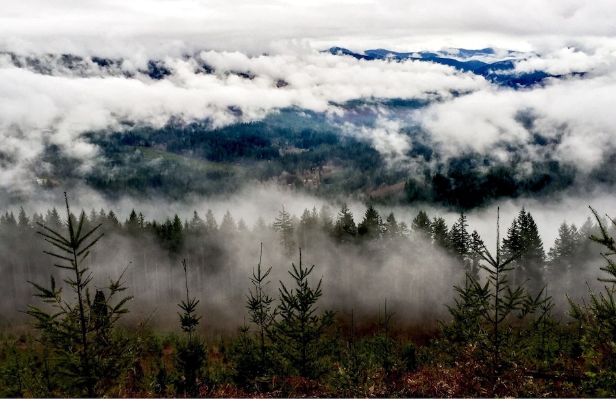The Bells Mountain Trail in Clark County is obviously in no way connected to the more famous Bells Mountain Wilderness in Missouri.  The trail which bears its name does not ascend or in any way touch the actual mountain.  But it bears some of the most beautiful views of the mountain from directly across the valley.  This was taken today (2015-01-11), on an extremely cloudy, foggy and generally soggy day.  But look at what you get to see, even in the middle of our waterlogged winters.  One drawback is that you have to pass through a lot of clear-cut forest on the trail side of the valley.  I say that, realizing now that almost none of these vistas would be possible otherwize.