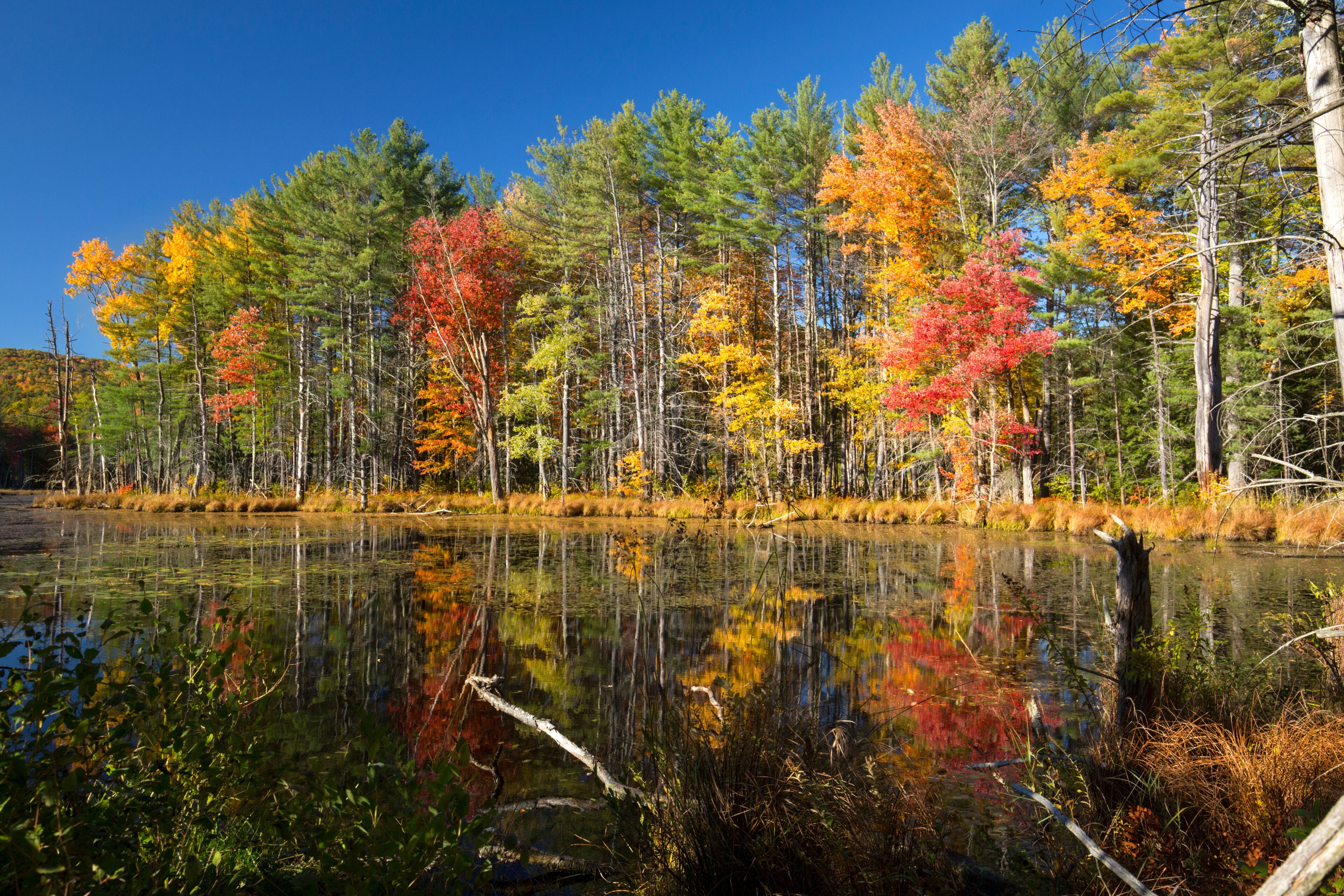 Fall foliage and reflections in Plymouth, New Hampshire.