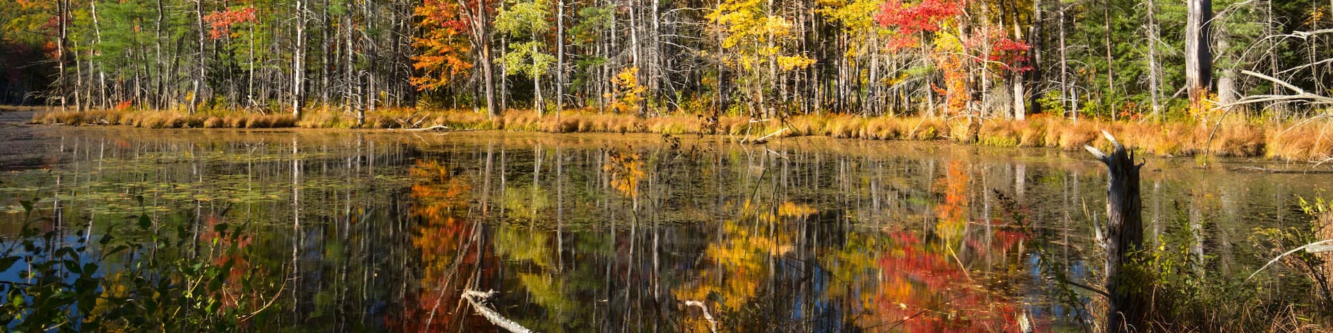 Fall foliage and reflections in Plymouth, New Hampshire.