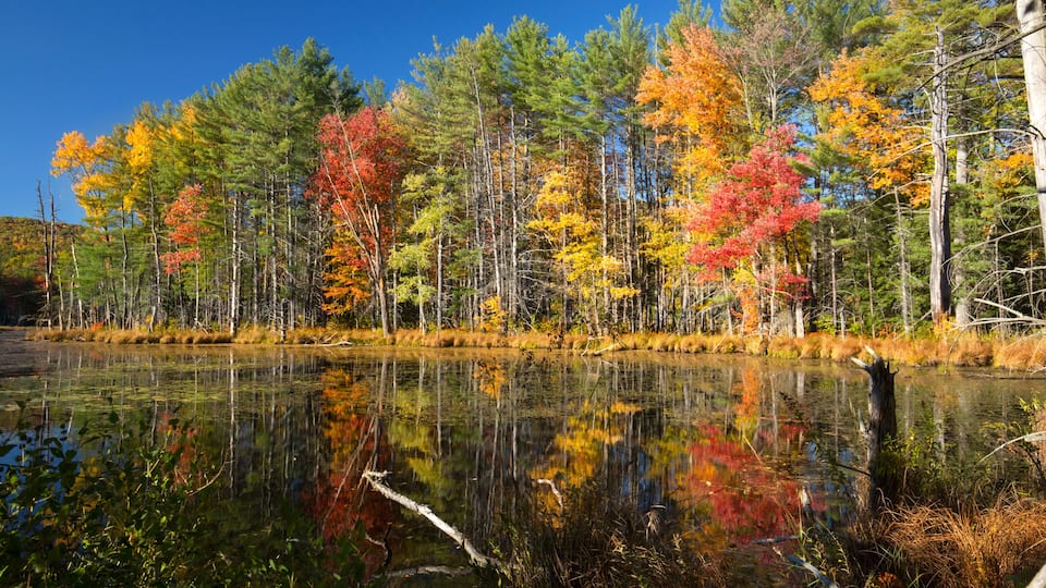 A calm lake reflecting colorful autumn trees.