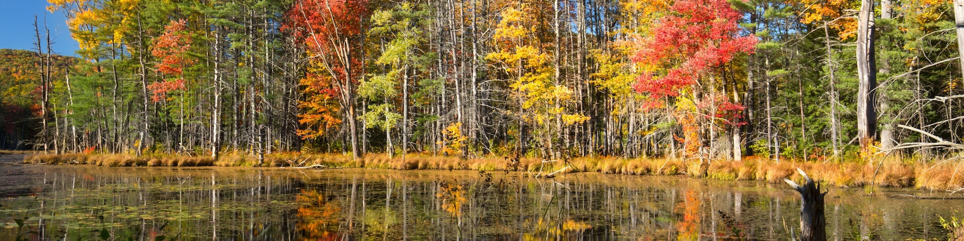 Fall foliage and reflections in Plymouth, New Hampshire.