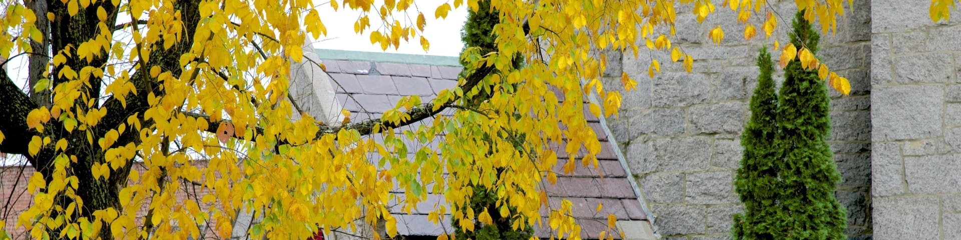 Keene showing autumn leaves and a house