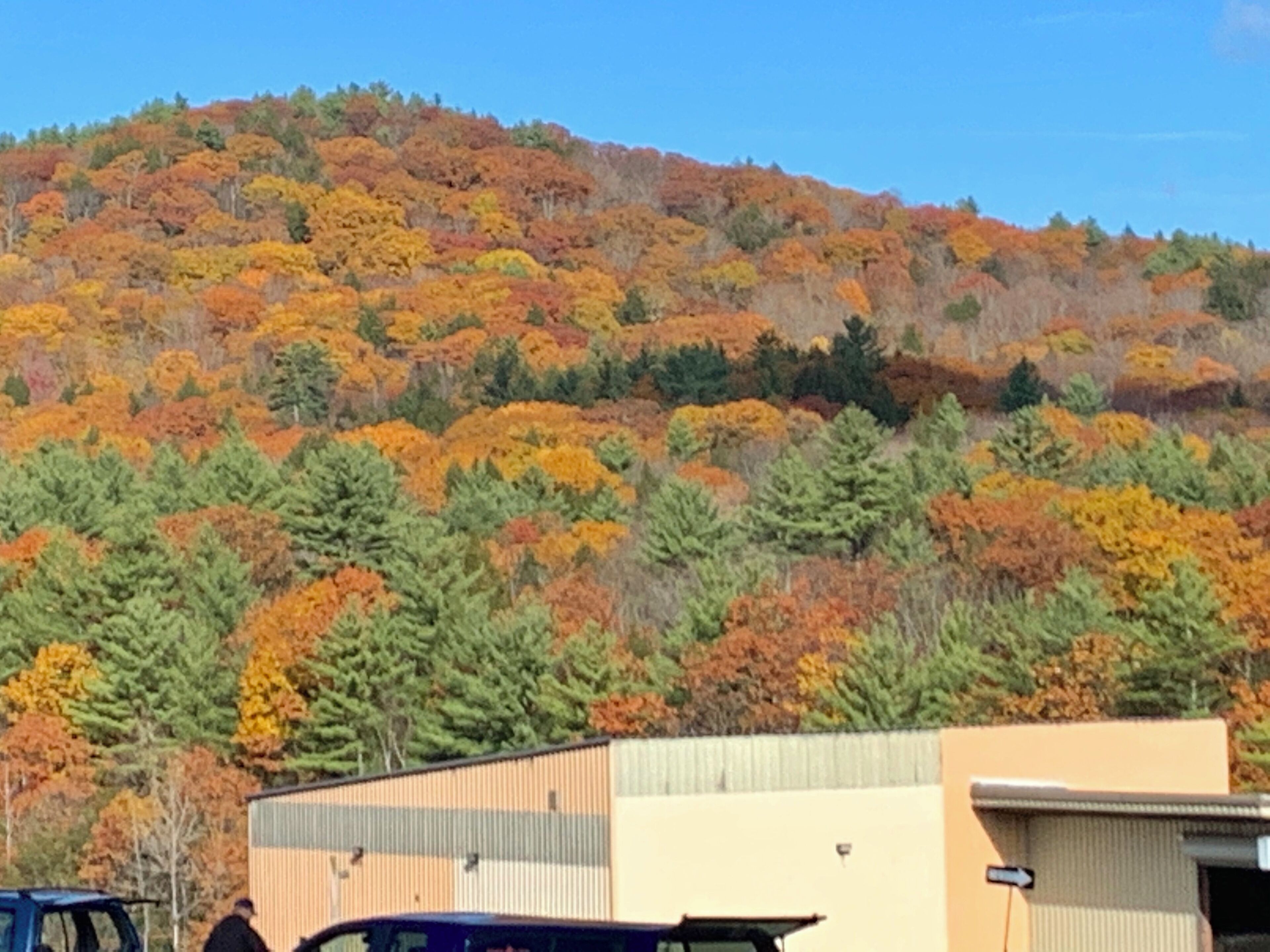 #Fall in #Keene, #NH #03431
#LiveFreeOrDie #LivingMyBestLife