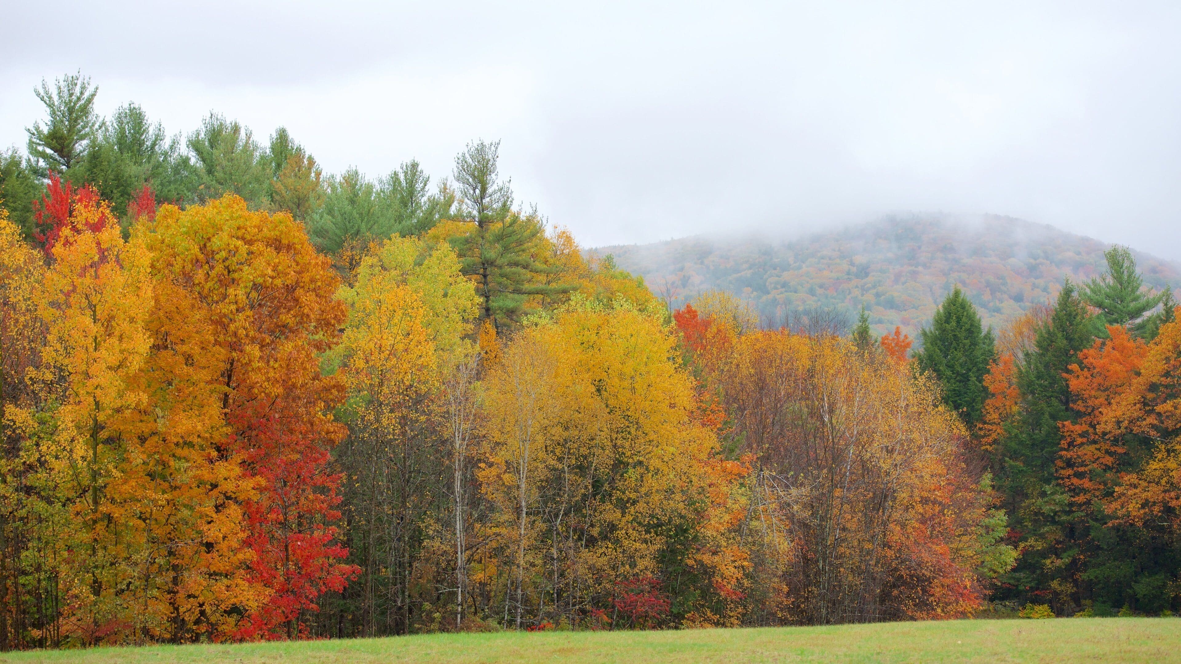 Keene fasiliteter samt skog og høstfarger