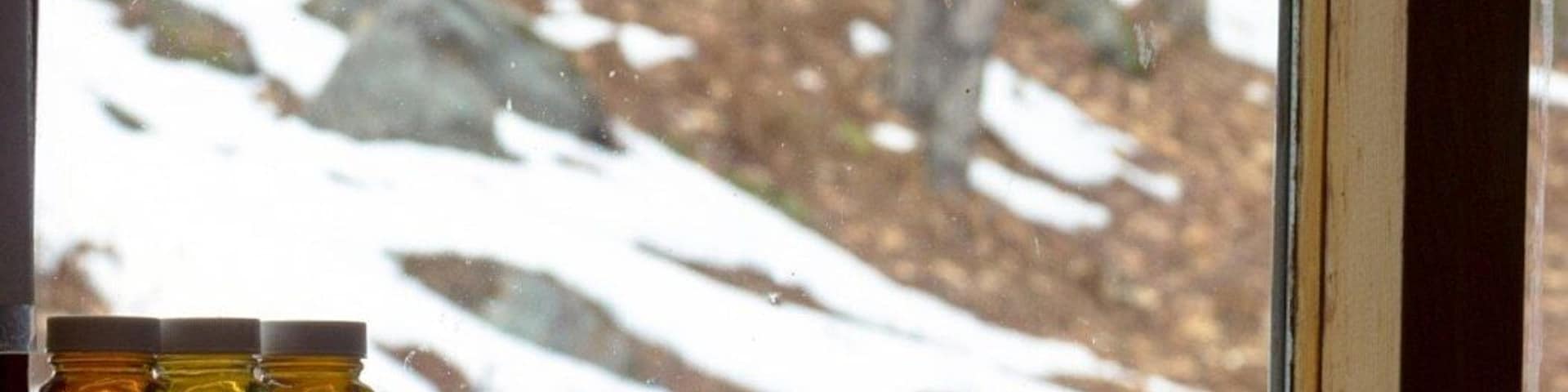 This weekend we had the pleasure of learning about the production process of maple syrup, which takes place only in this season. It was fascinating to watch the entire process, which to begin with, is largely dependent on mother nature. We're hoping to put together a blog about our visits real soon! P.S.: fresh maple syrup is the most delicious đ
#Nhmaple #visitNH