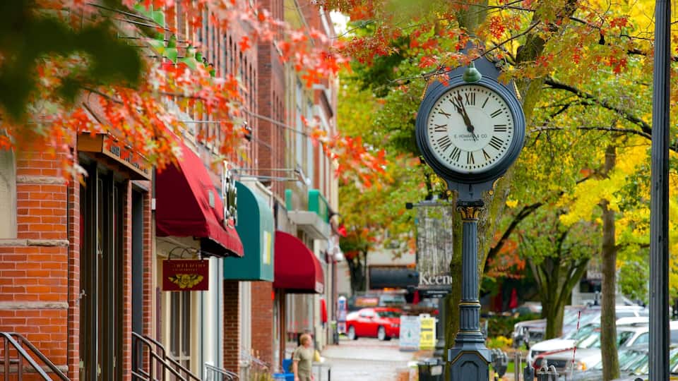 A street with a clock, red brick buildings, and autumn leaves.