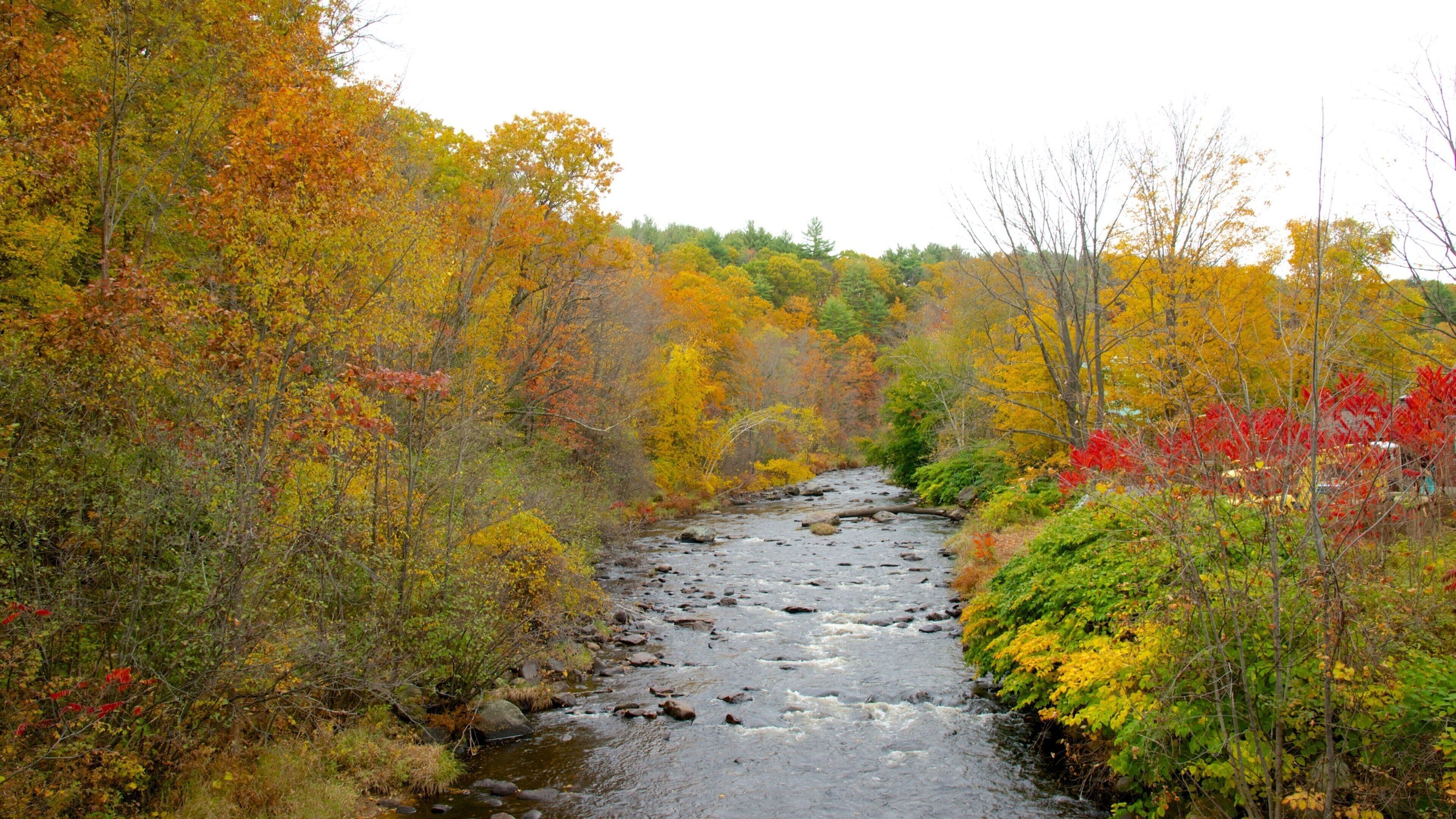 Keene toont een rivier of beek en herfstkleuren