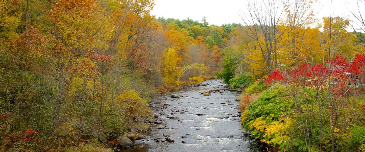 Keene toont herfstkleuren en een rivier of beek