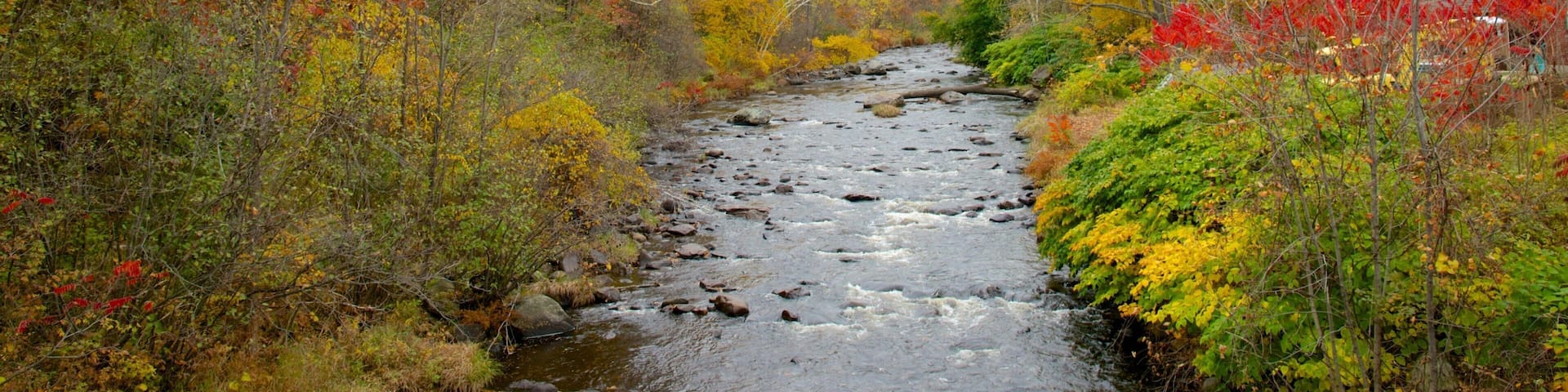 Keene montrant rivière ou ruisseau et feuilles d\'automne