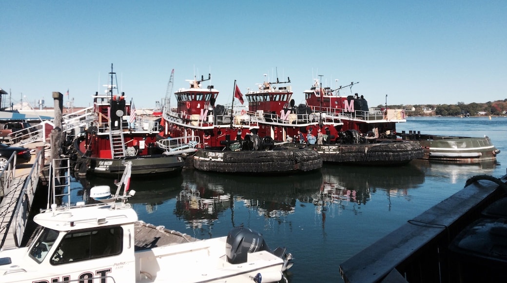 Tugs docked off of Ceres St on Piscataqua River in Old Harbor