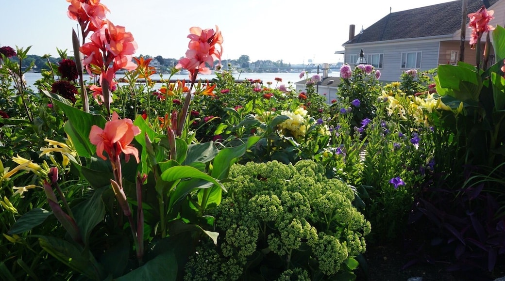 Flowers on Market Street