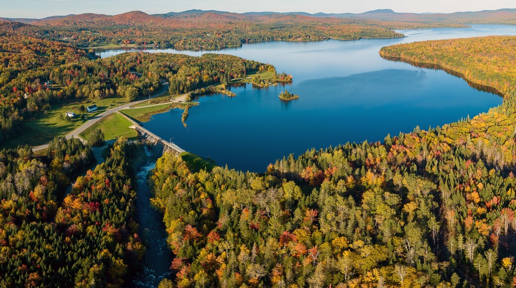 Grandes Bosques del Norte